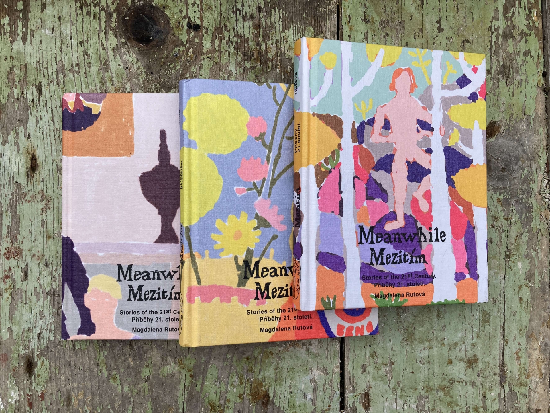 illustrations for her original book Meanwhile – Mezitím (UMPRUM)