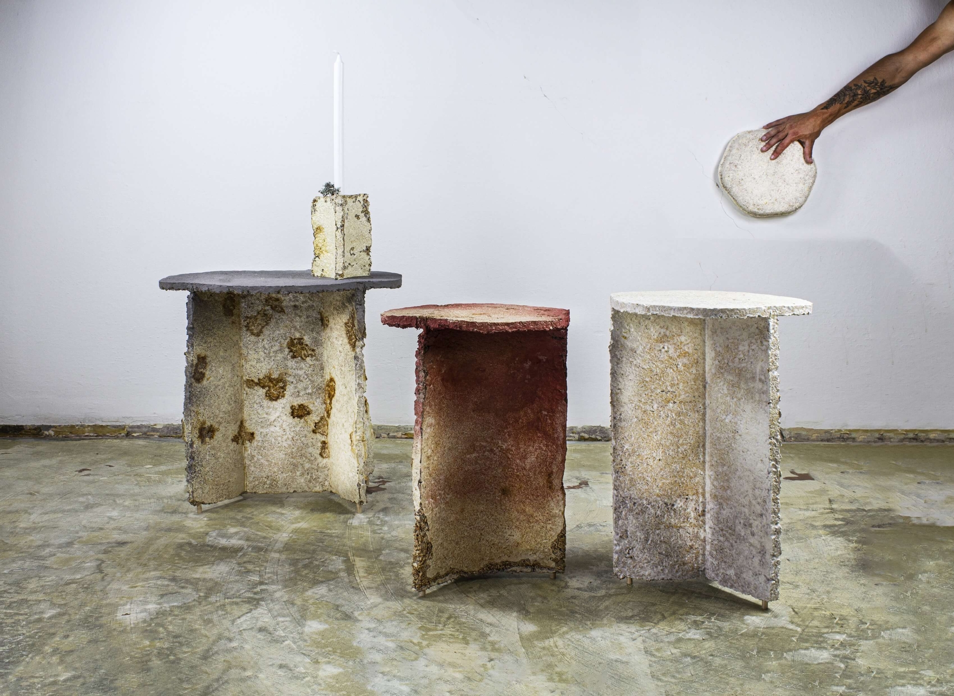 Sileencio collection of furniture and Myceelium accessories