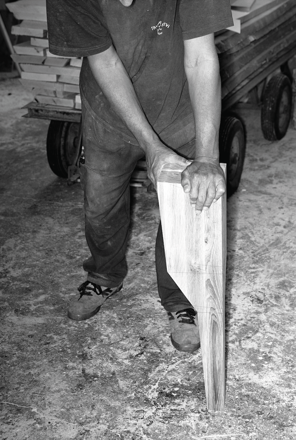 photographs for the book Strom (Křehký)