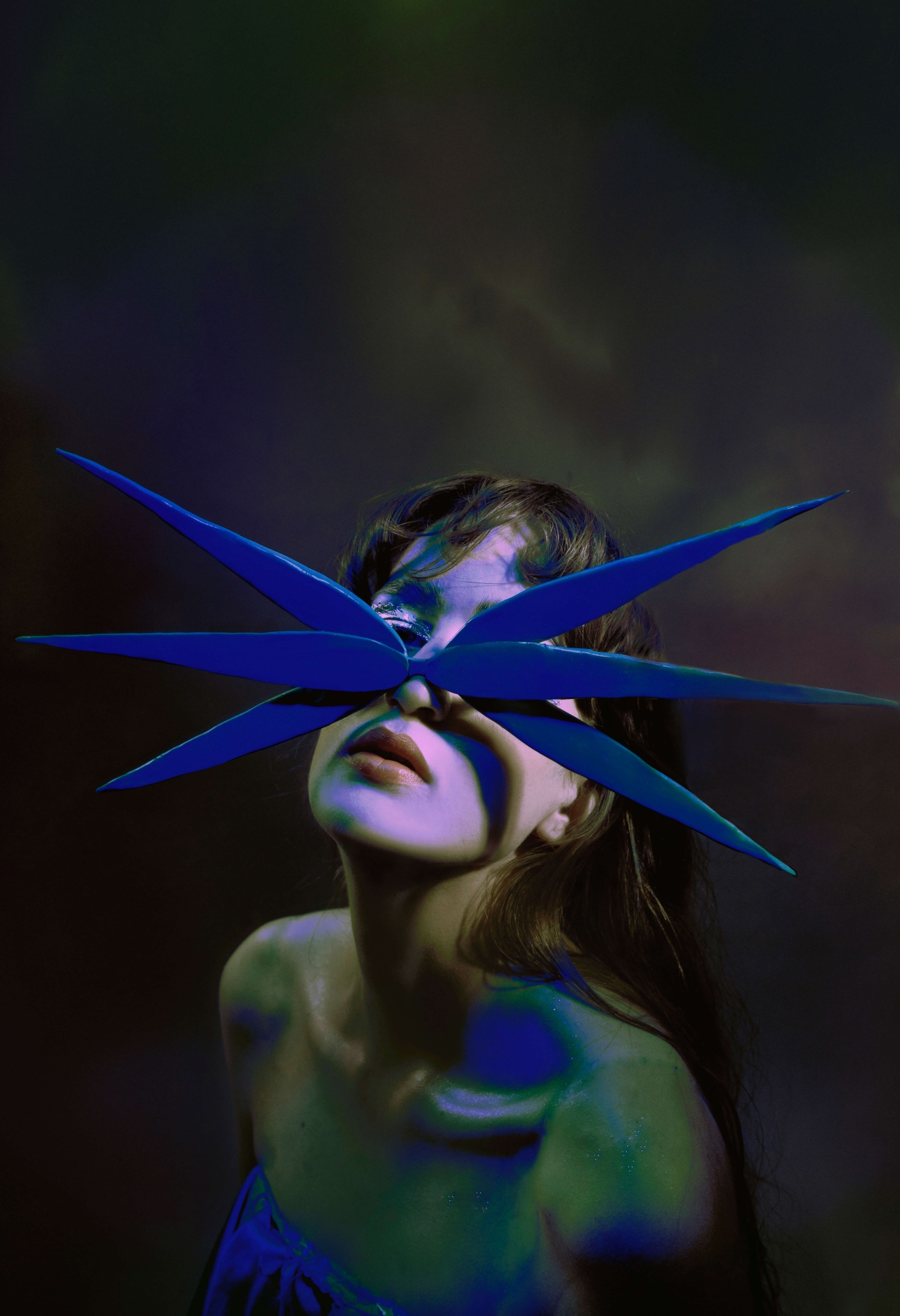fotografie pro Miroslava Hrubého a pro výstavu Terra Alba (Designblok, Moravská galerie v Brně)