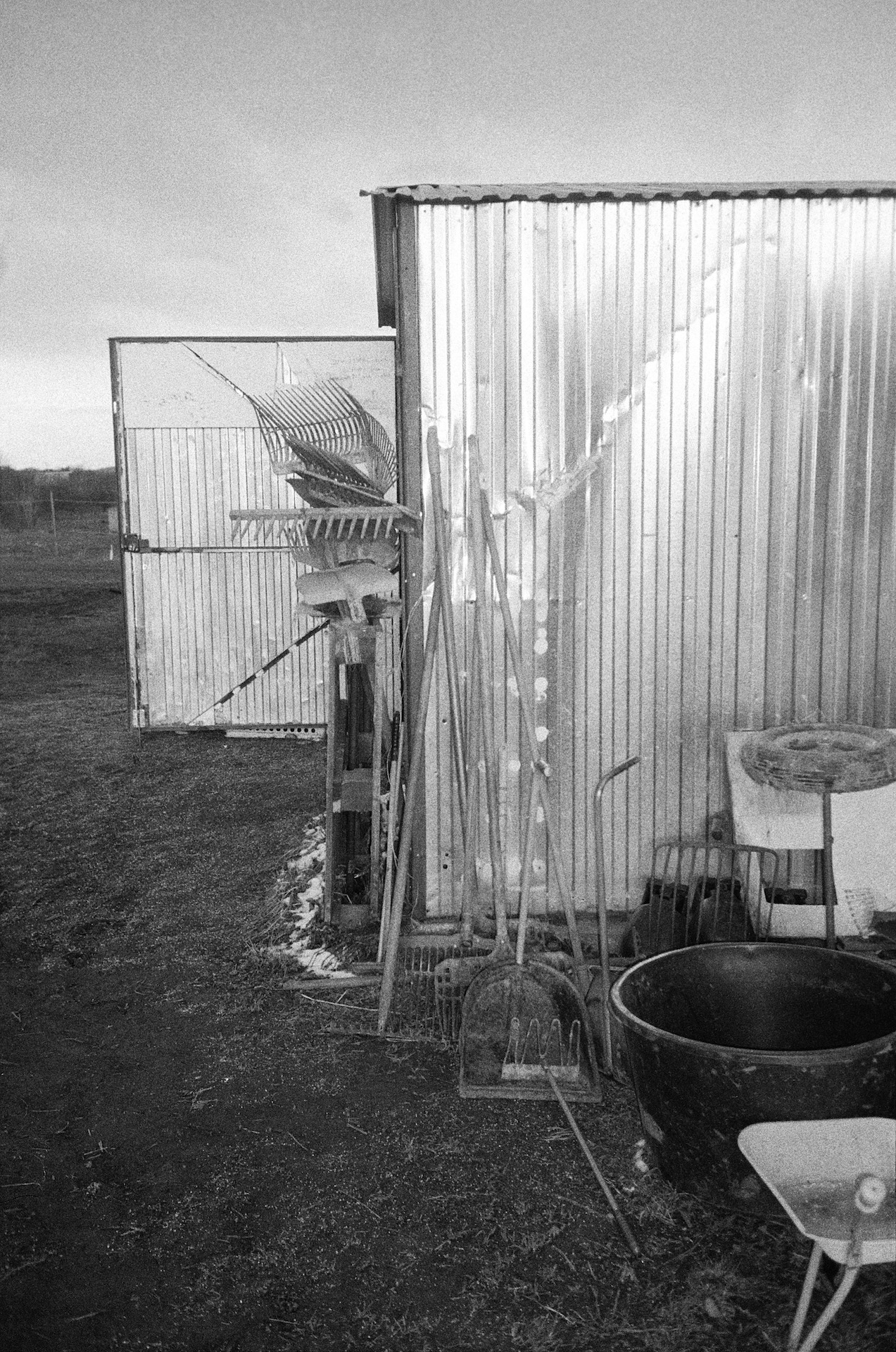 za významný přínos české fotografii