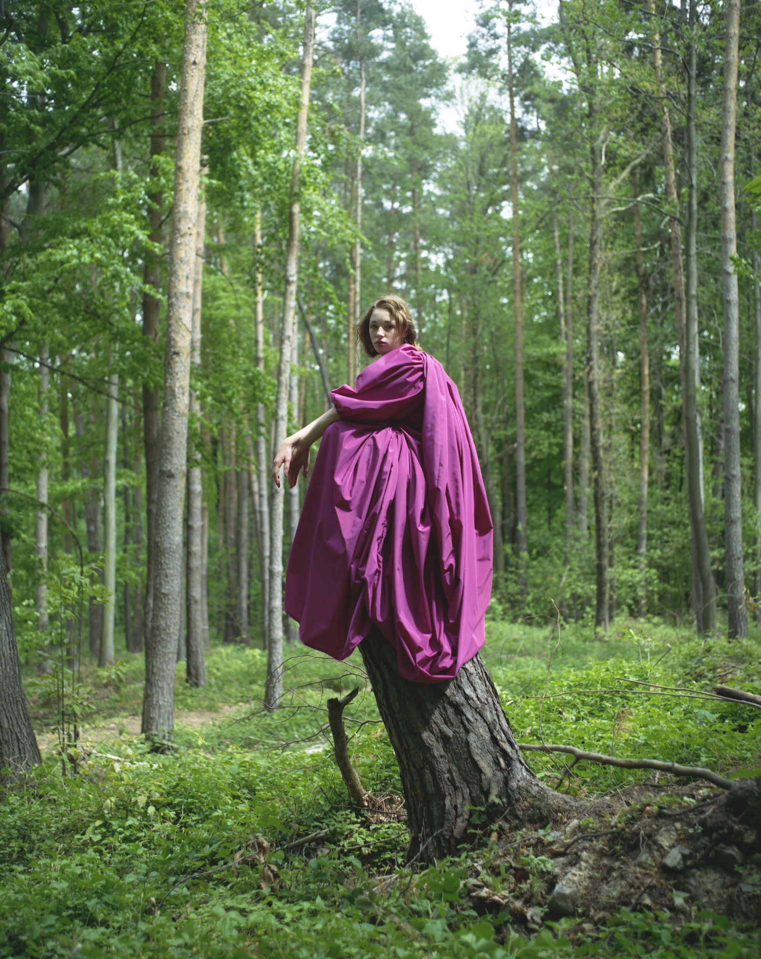 kolekce Alenka v říši divů a Frida
