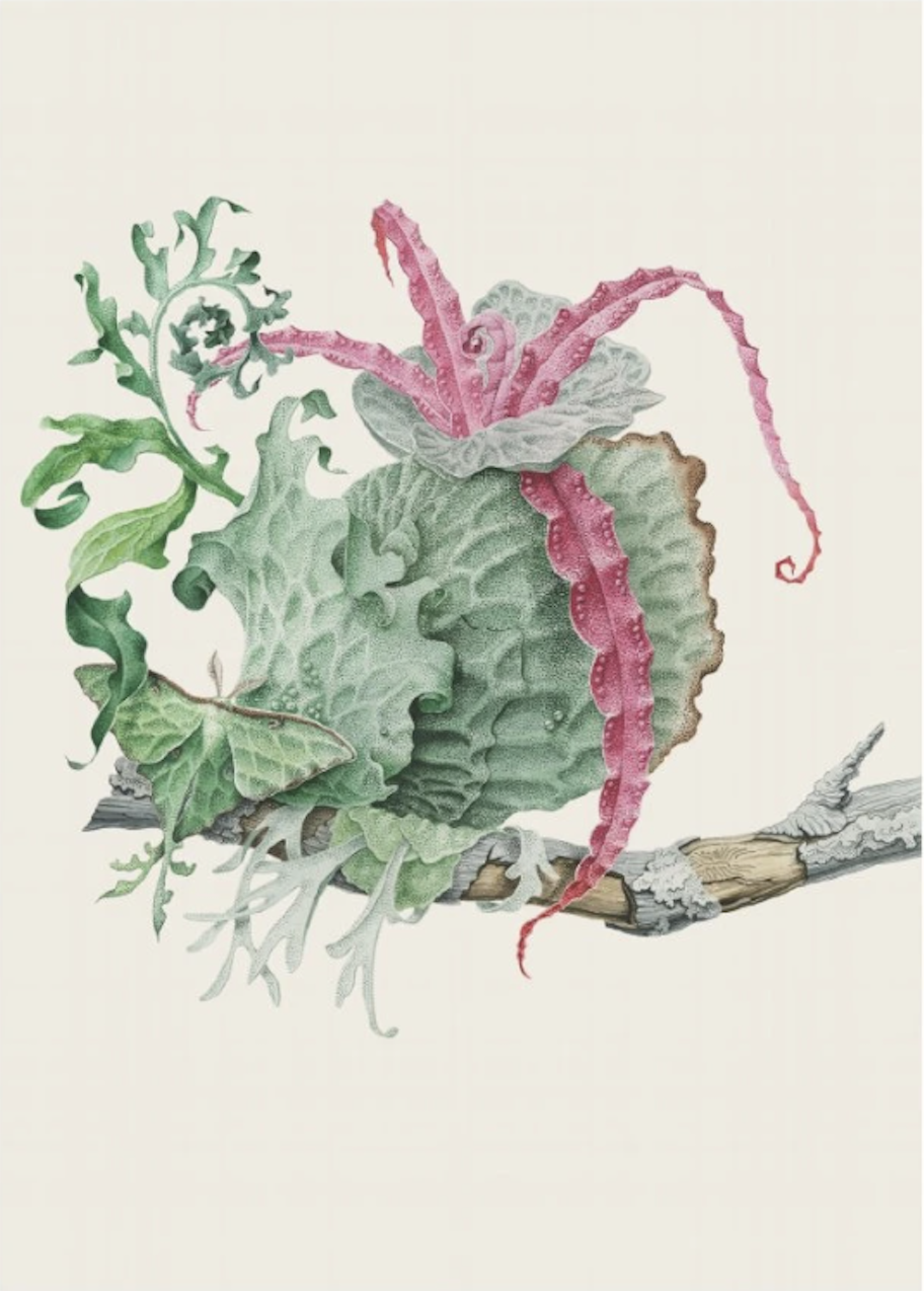 wallpaper for the Myšák Gallery (Ambiente), illustration for the Altar of St. Francis (Křehký) and for the Theatrum Aeternitatis Florae exhibition (Kladruby Monastery)