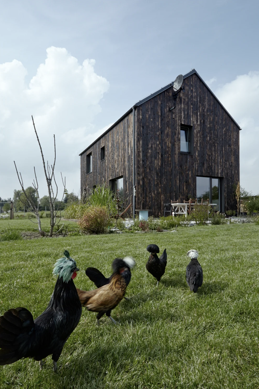 fotografie Dům Uhlík (Mjölk architekti)