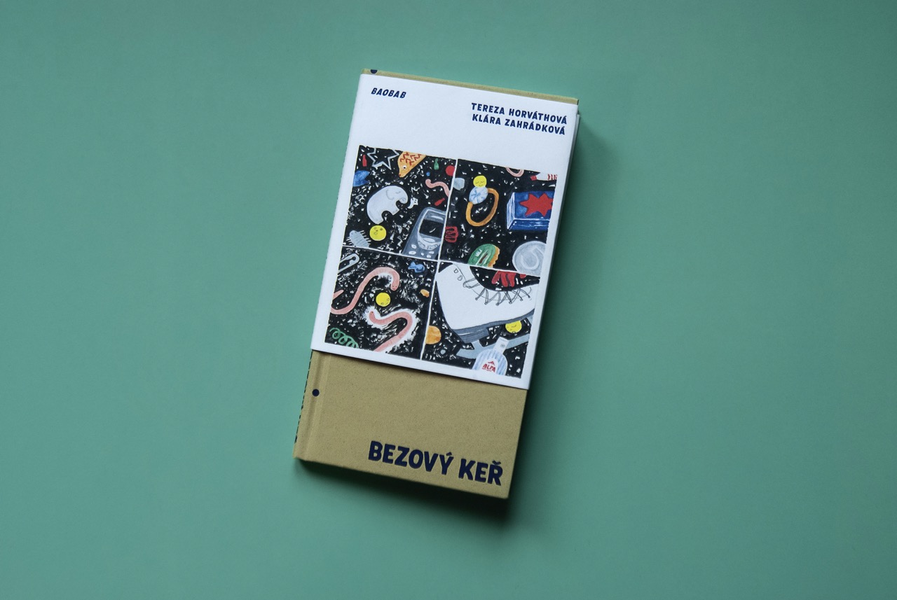 ilustrace knihy Bezový keř (Tereza Horváthová, Baobab)