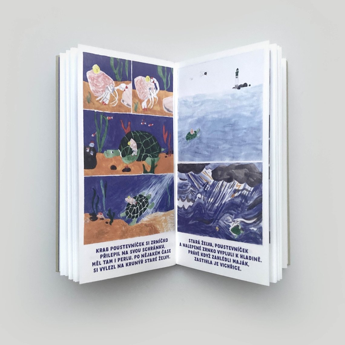 ilustrace knihy Bezový keř (Tereza Horváthová, Baobab)