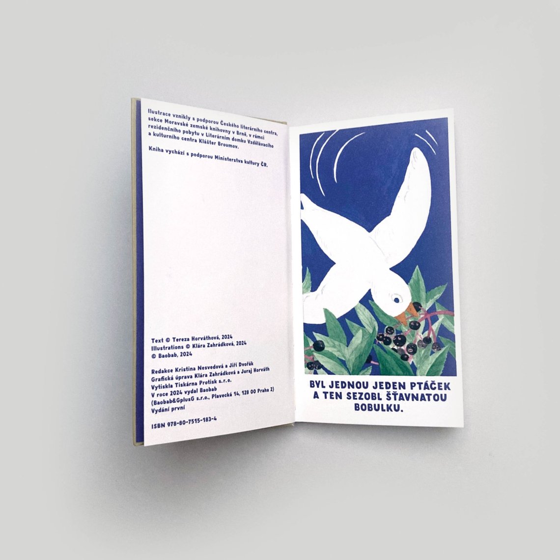 ilustrace knihy Bezový keř (Tereza Horváthová, Baobab)