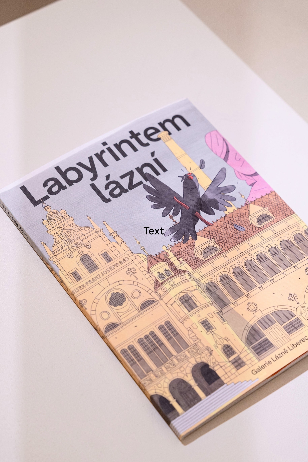 ilustrace publikace Labyrintem lázní (Michaela Kubišová, Galerie Lázně Liberec) a ilustrátorská práce na výlohách pro Hermès (spolupráce: Lexová & Smetana)