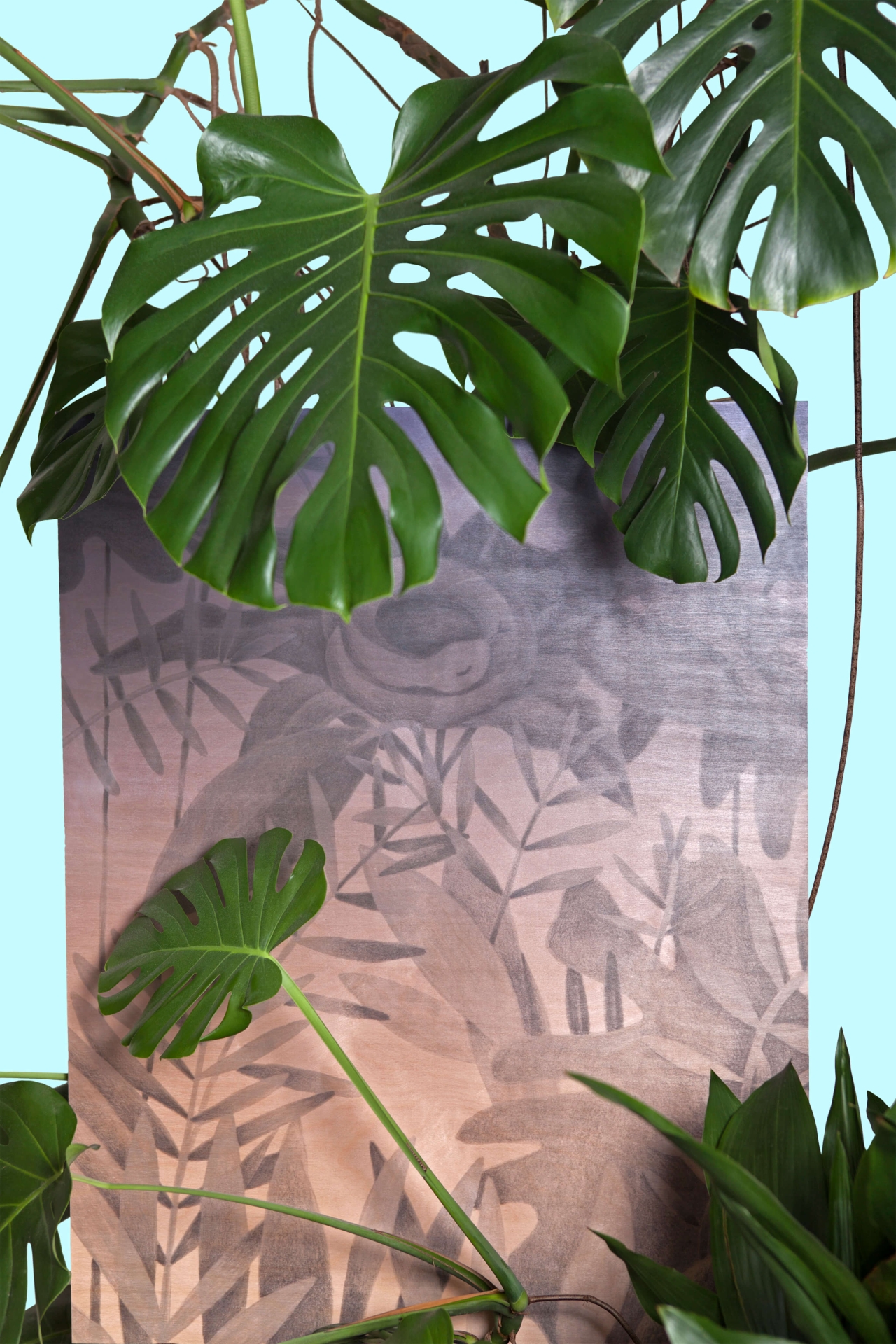 new elements of Oáza Collection