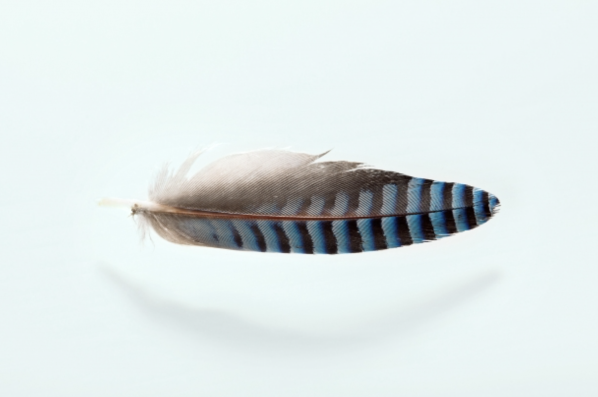 photographs for Vyrobeno lesem