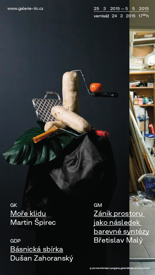 fotografie pro vizuály pro Galerii TIC