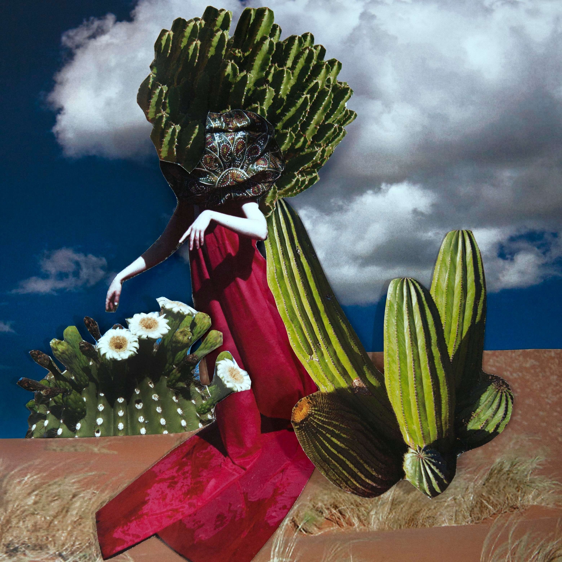 collages for the book 4x7 (Bistro No.19), Chamaleo album (NeverSol), Bohatství české kuchyně editorial for Soffa, photographs of the Homa collection for Janja Prokić