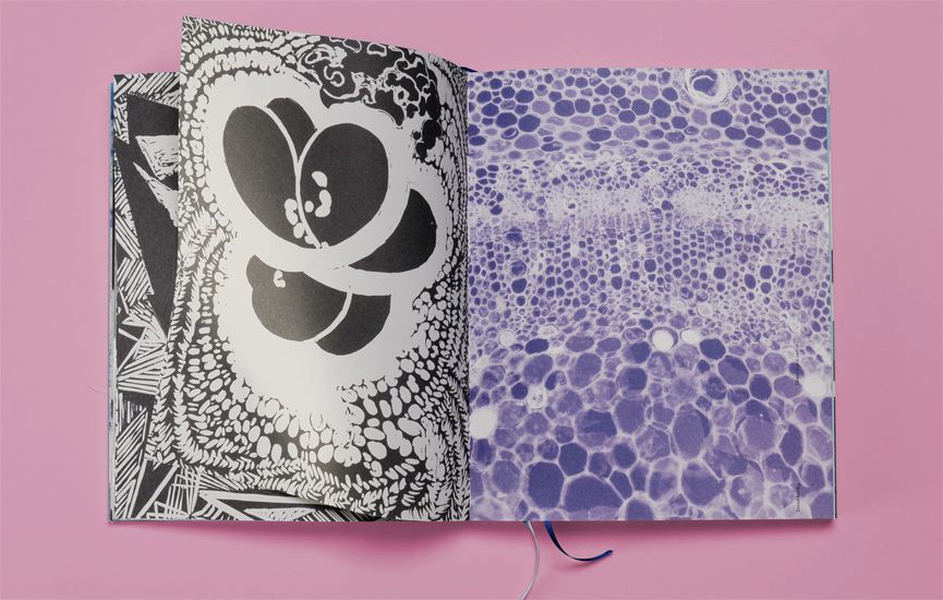 the book František Frank Frantík François Kupka (National Gallery Prague)