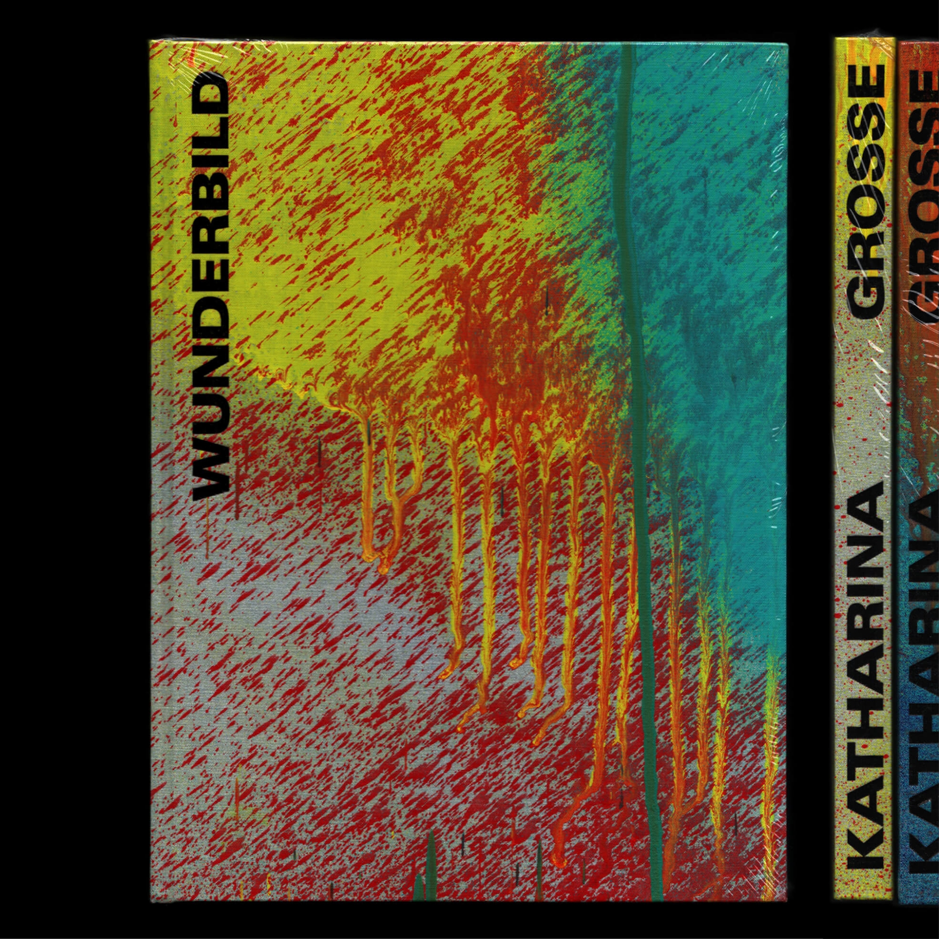 concept and visual identity for the catalog and exhibition Katharina Grosse: Wunderbild (National Gallery Prague)