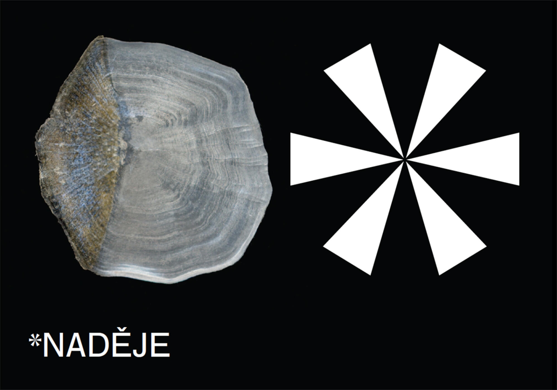 logo and complex visual style for the Naděje NGO 
