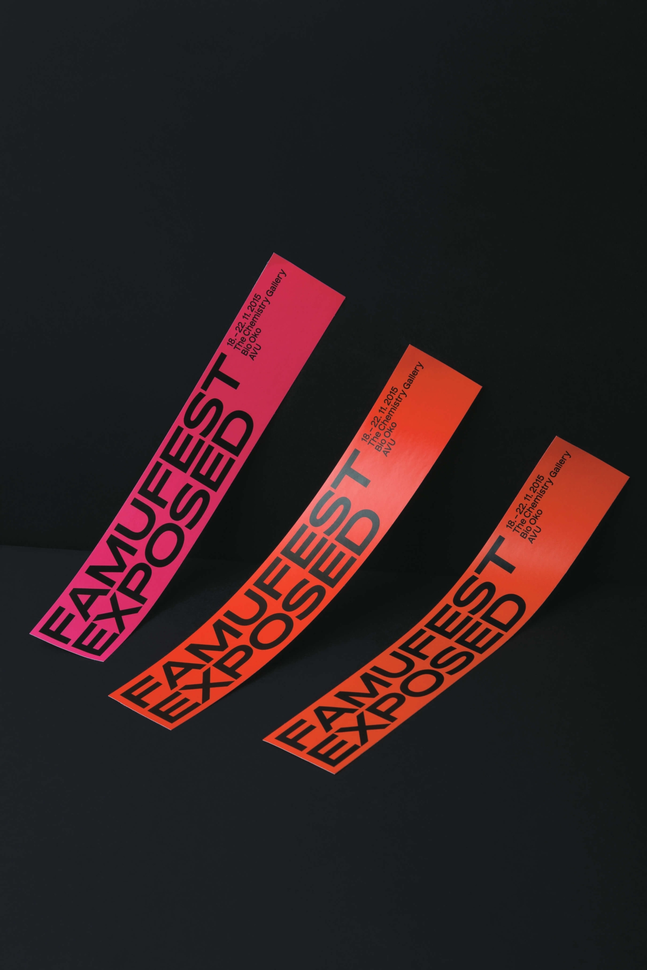 visual identity and graphic communications for FAMUFEST EXPOSED 2015