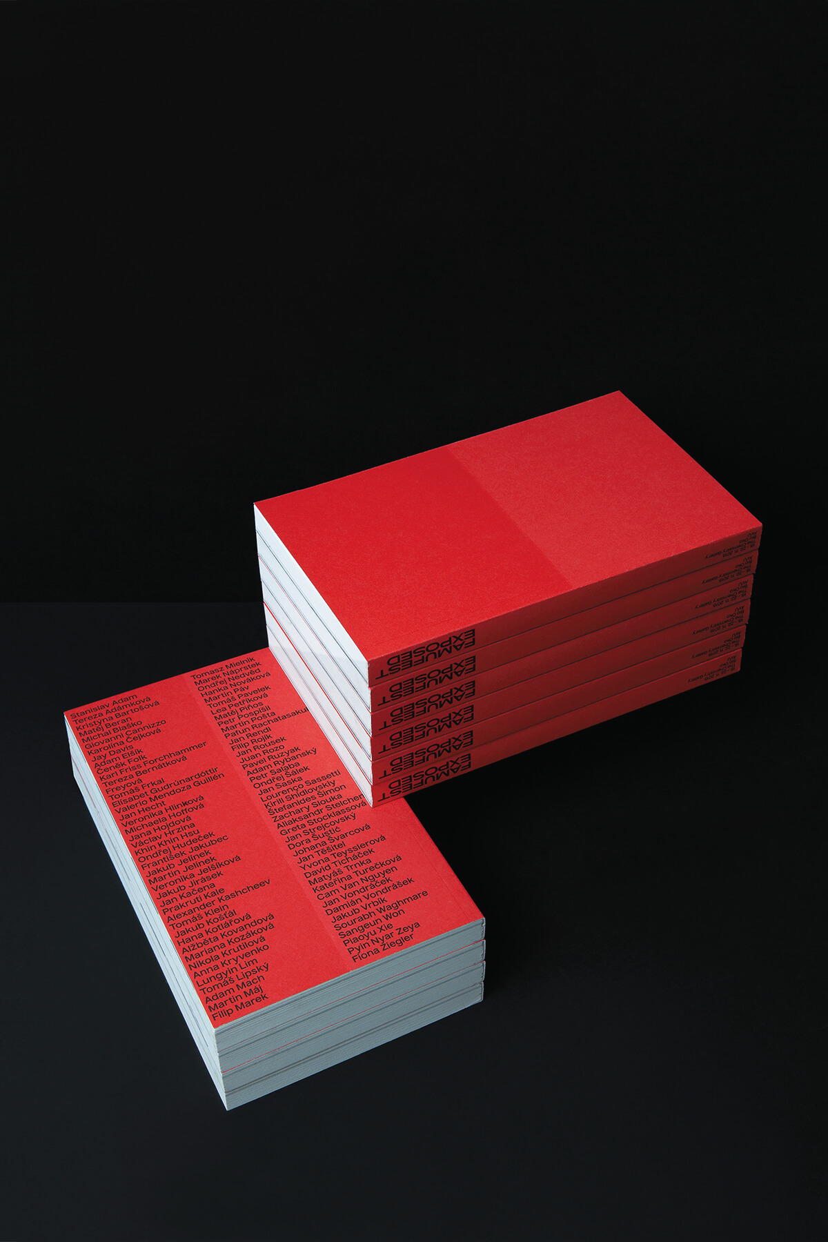 visual identity and graphic communications for FAMUFEST EXPOSED 2015