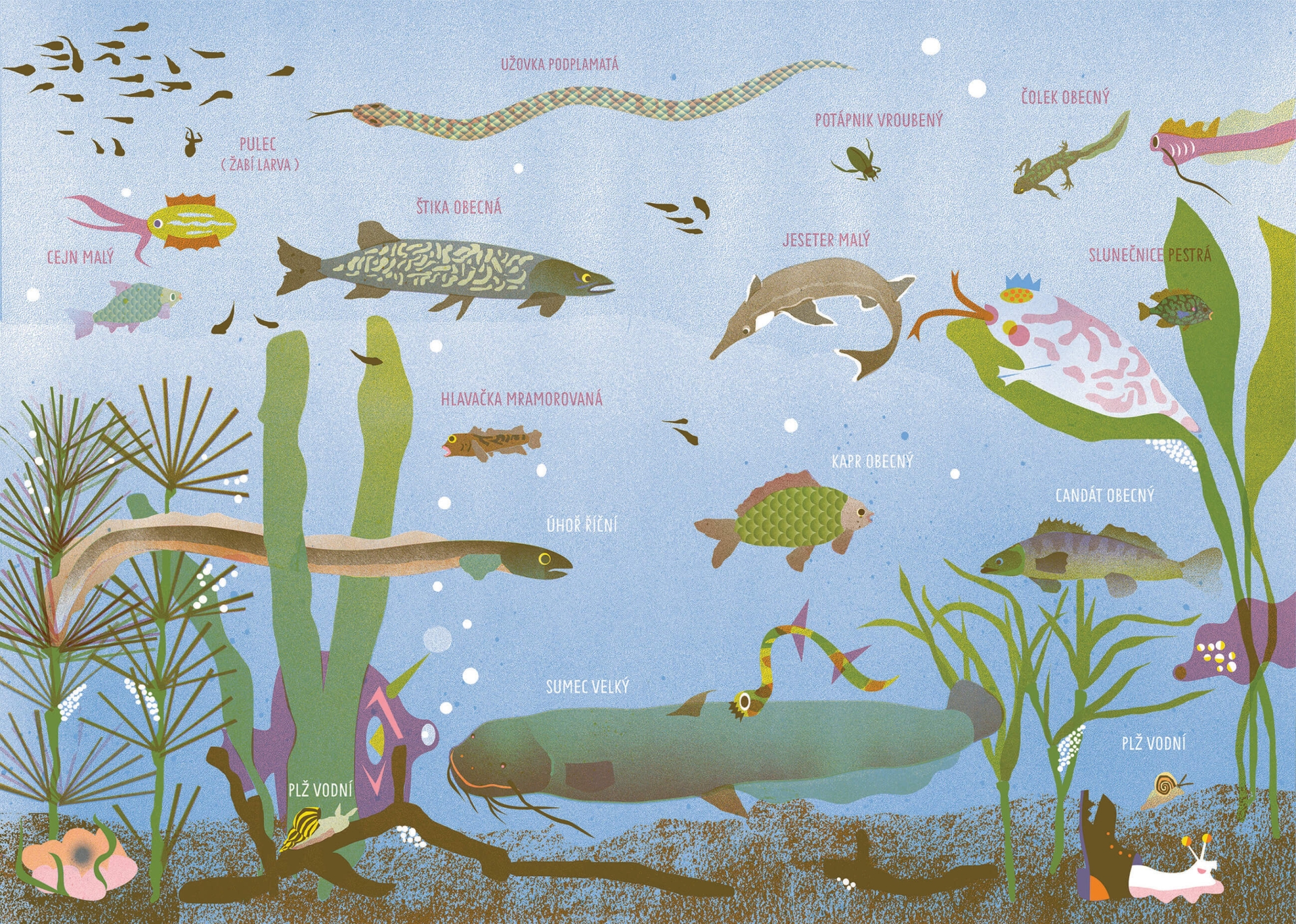 illustrations for the book Prázdniny s Oskarem (Tereza Horváthová, Baobab)