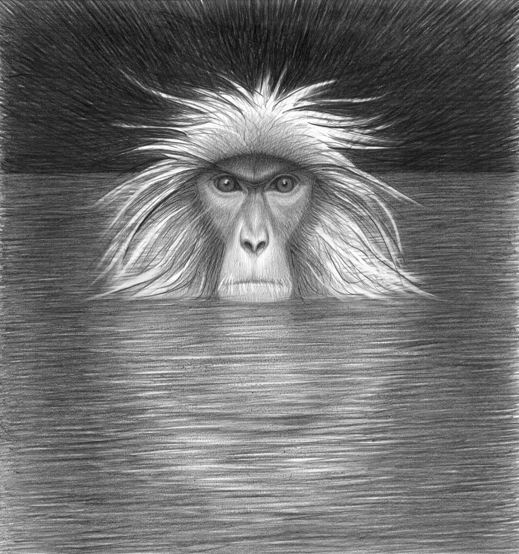 ilustrace autorské knihy Jino taje opic (Meander)