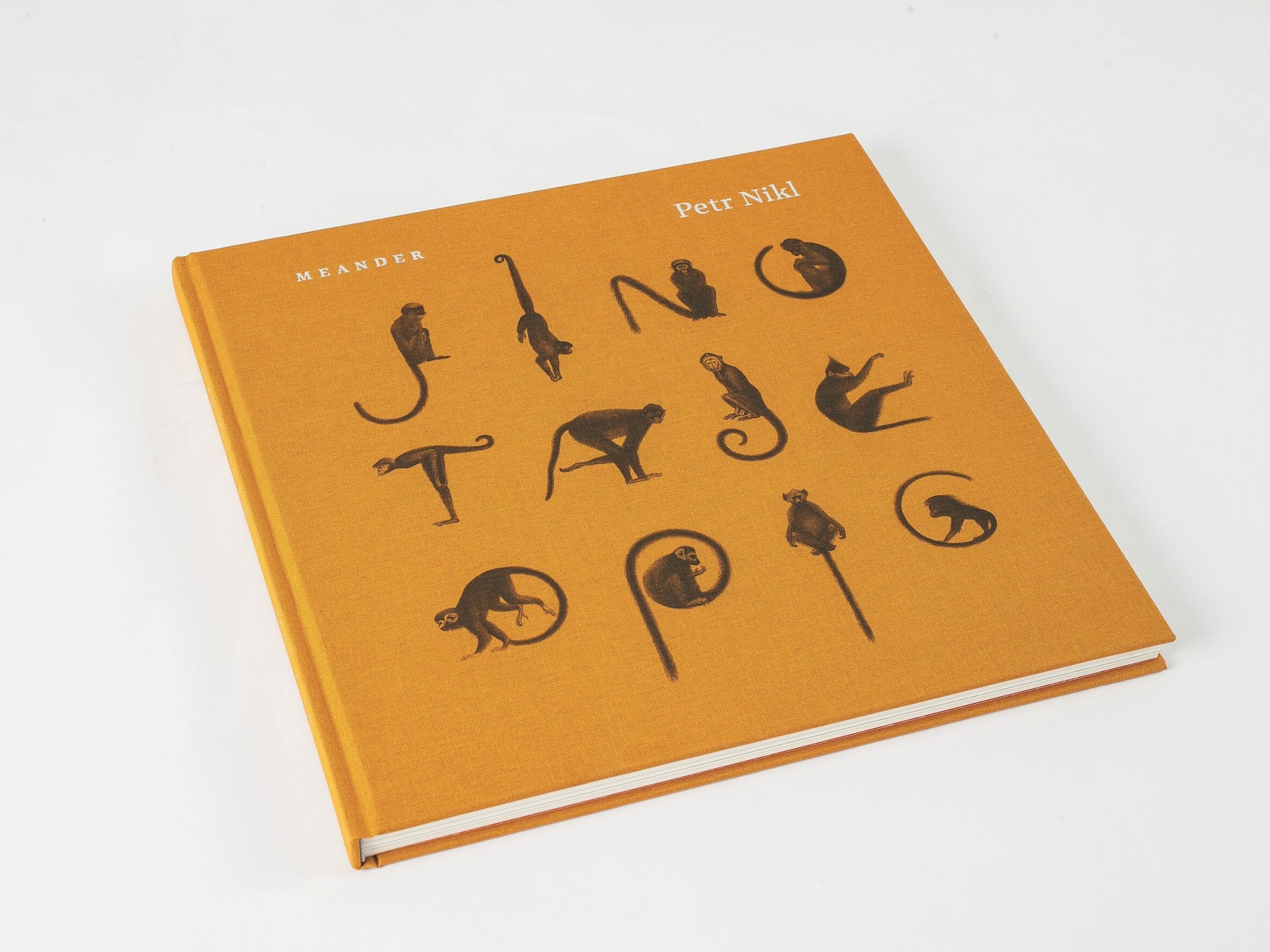 ilustrace autorské knihy Jino taje opic (Meander)