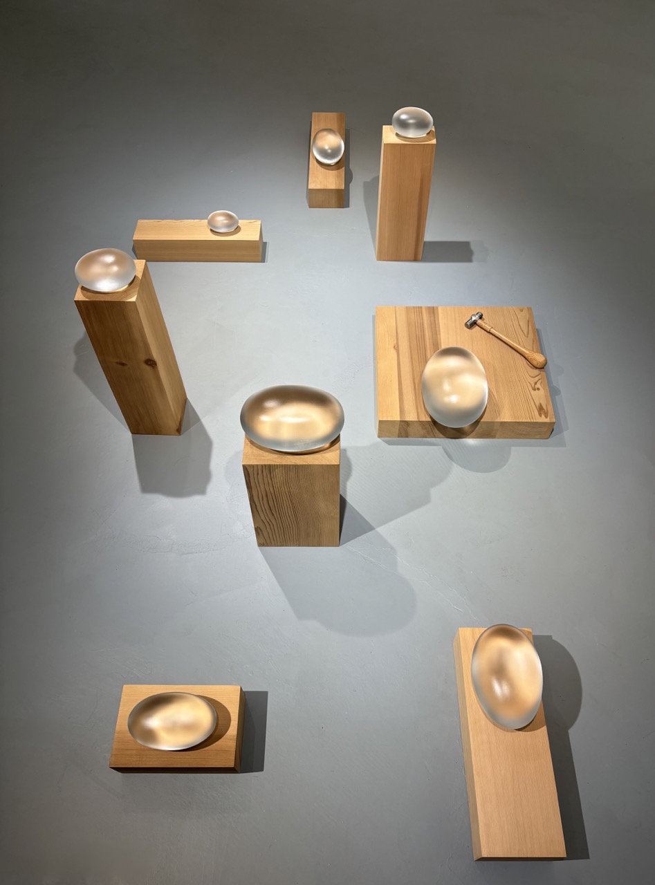 za dlouholetou významnou designérskou, uměleckou a pedagogickou činnost a za celoživotní dílo v oblasti designu a umění