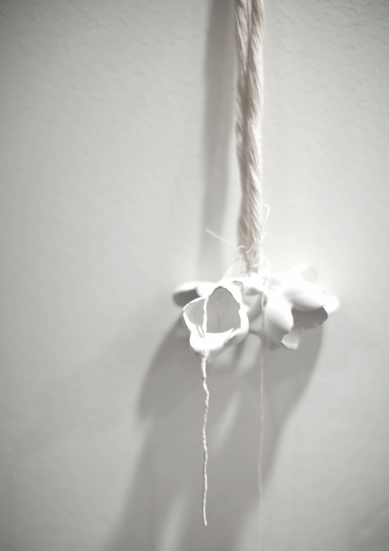 Lost & Found collection