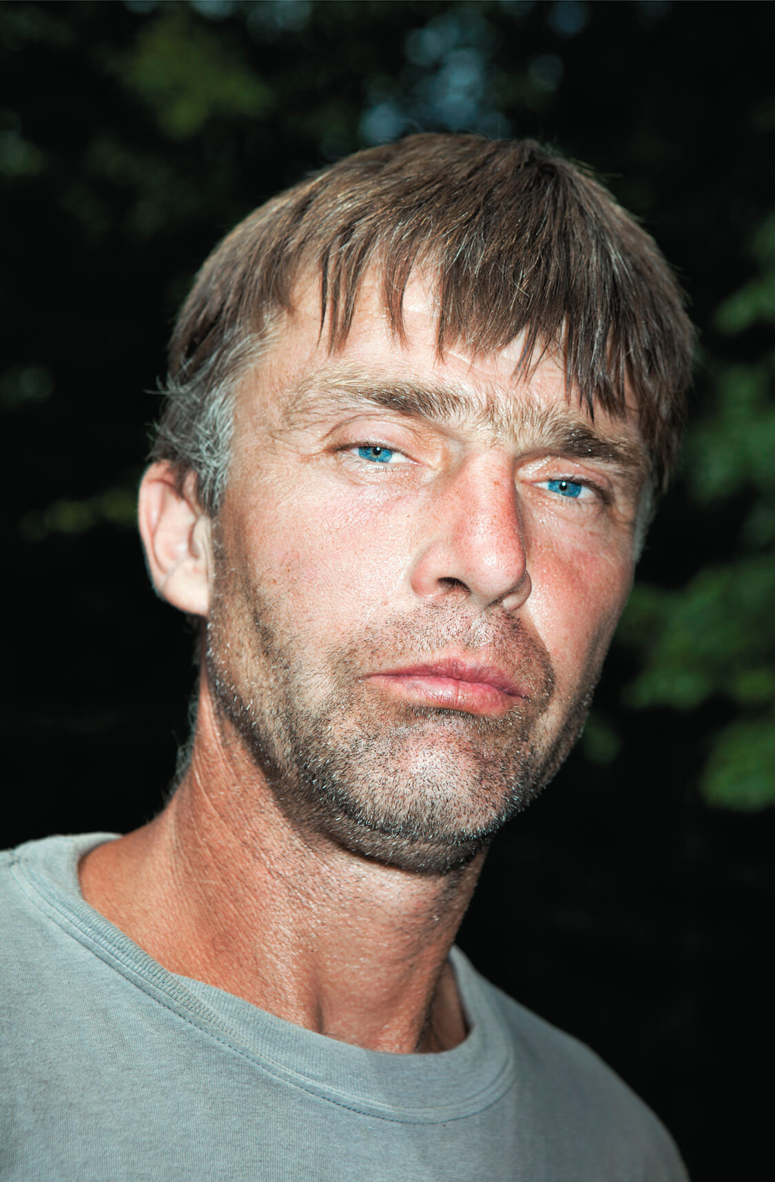 photographs for the book Strom (Křehký)