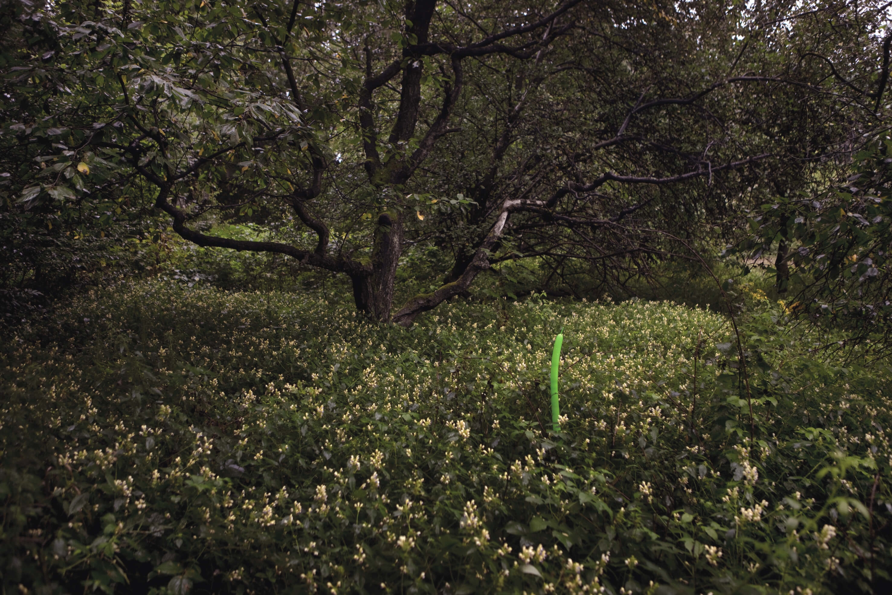 Vetřelci photographic series for Esprit