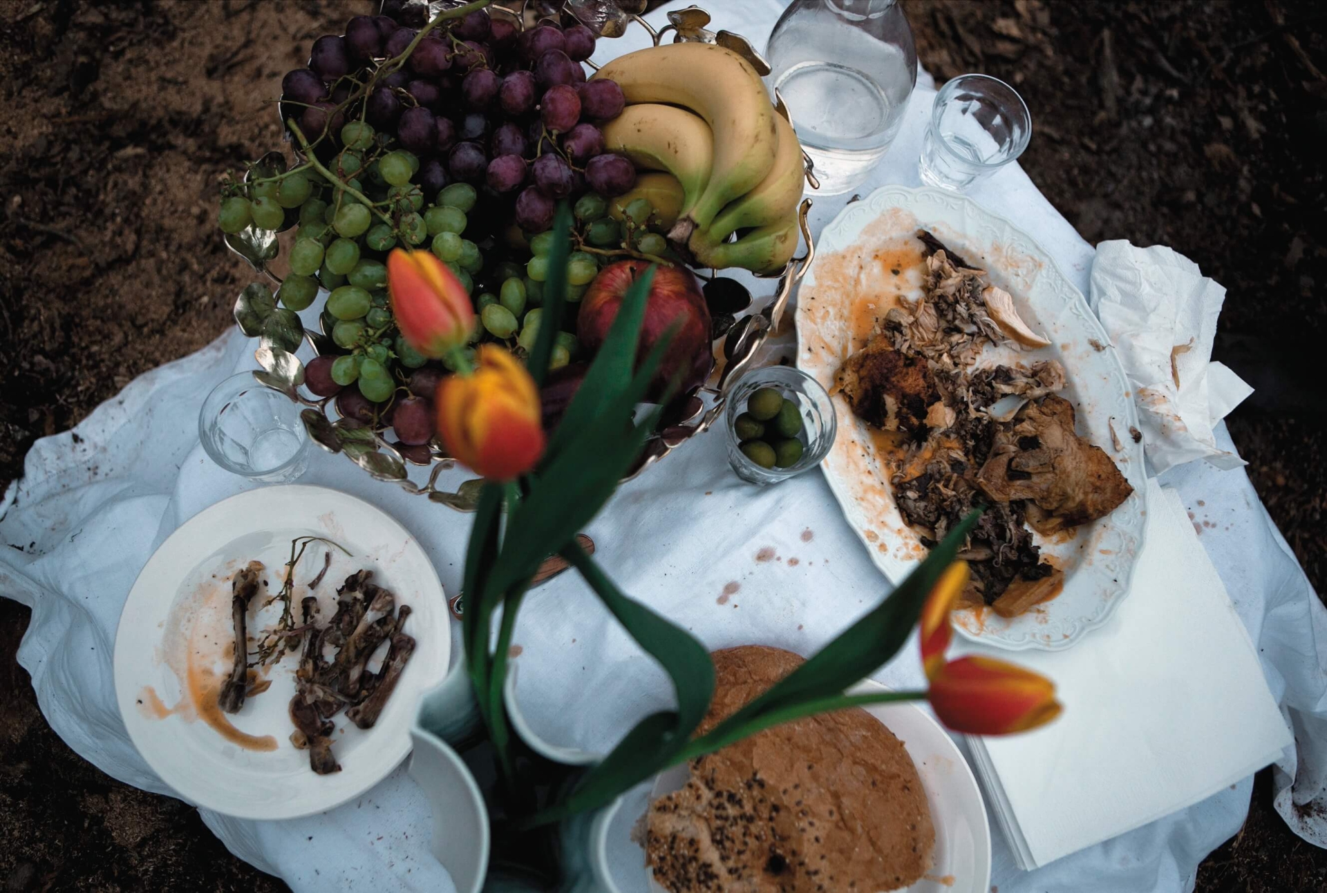 photographs for the book Strom (Křehký)