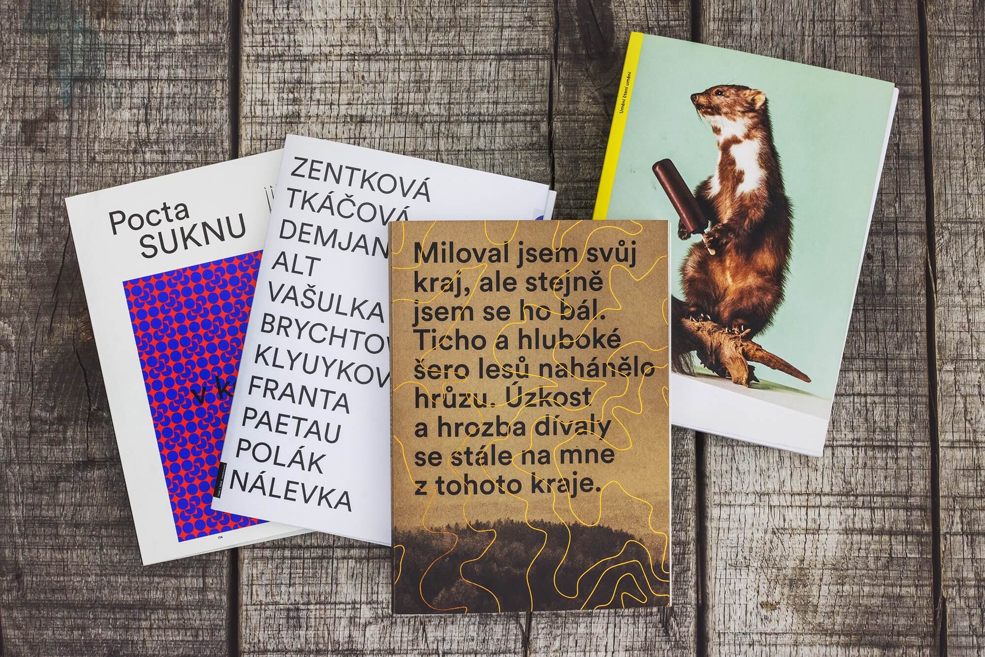 visual style for the exhibitions and catalogs for the 8smička Art Zone