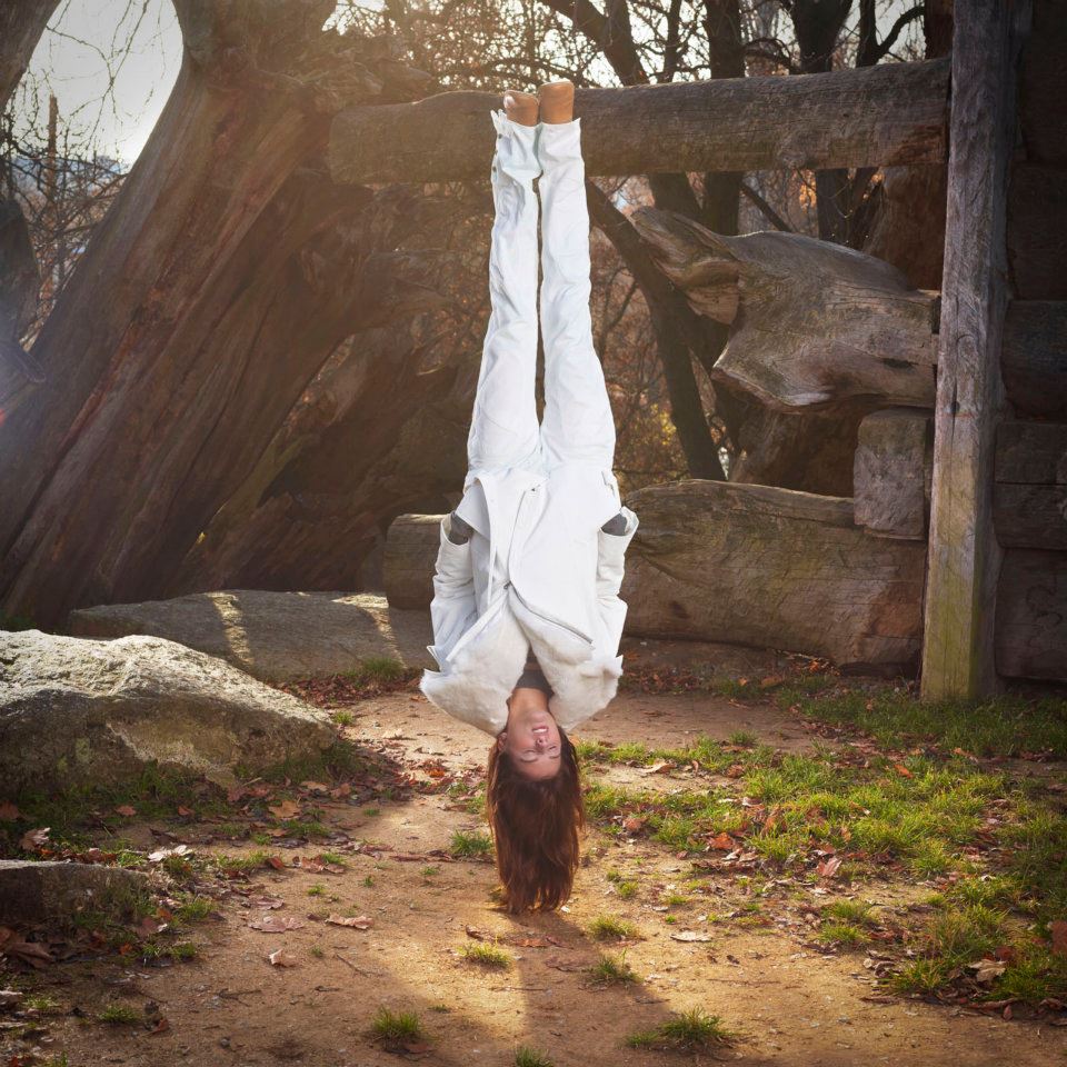 Royal trip collection