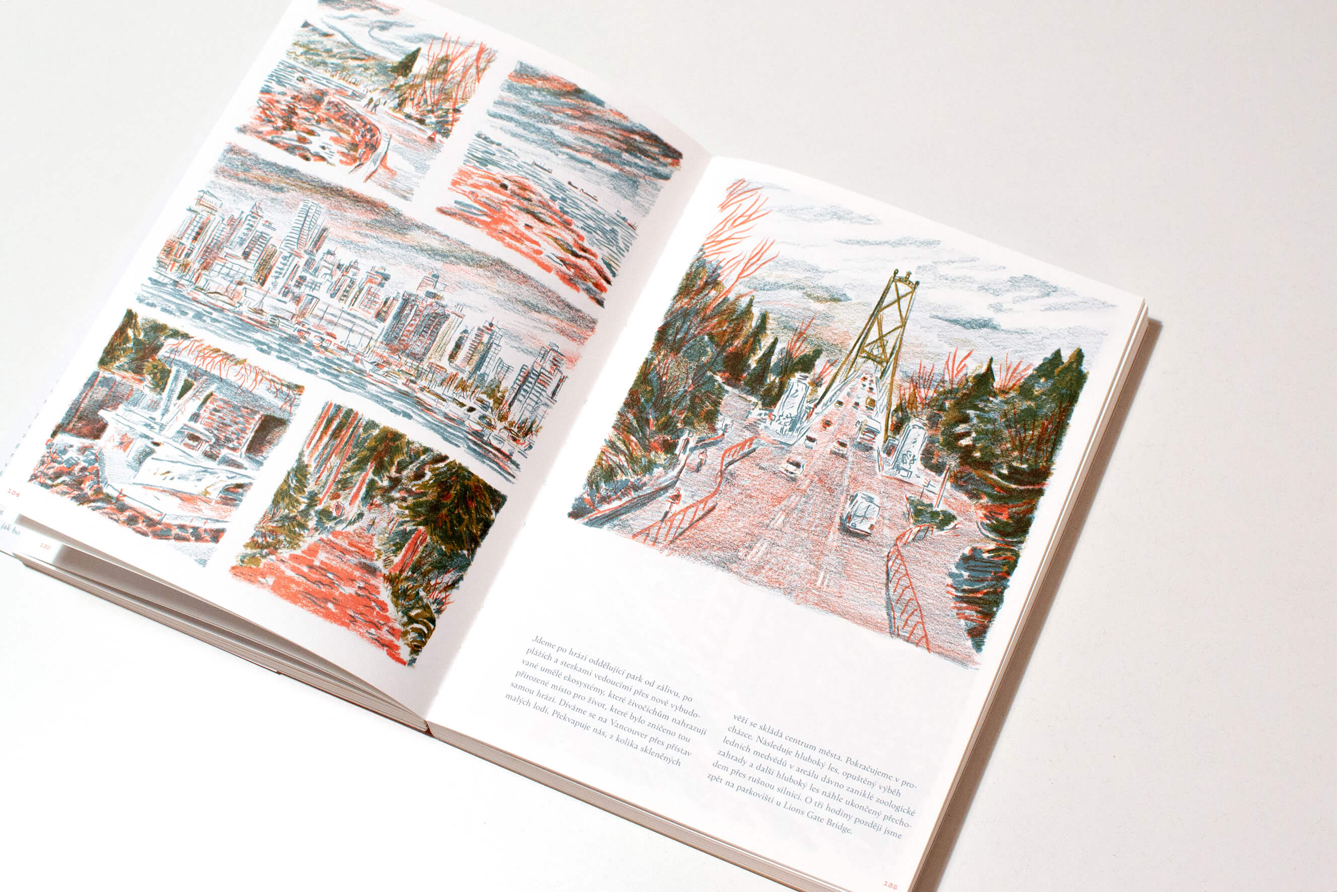 ilustrace autorské knihy Na západ severozápadní linkou (Paseka) a knih Lampička (Annet Schaap, Baobab), Bitva o diamant (Bára Dočkalová, Raketa) a Ztracený svatý (Ondřej Horák, Alexandra Kusá, Take Take Take, SNG)