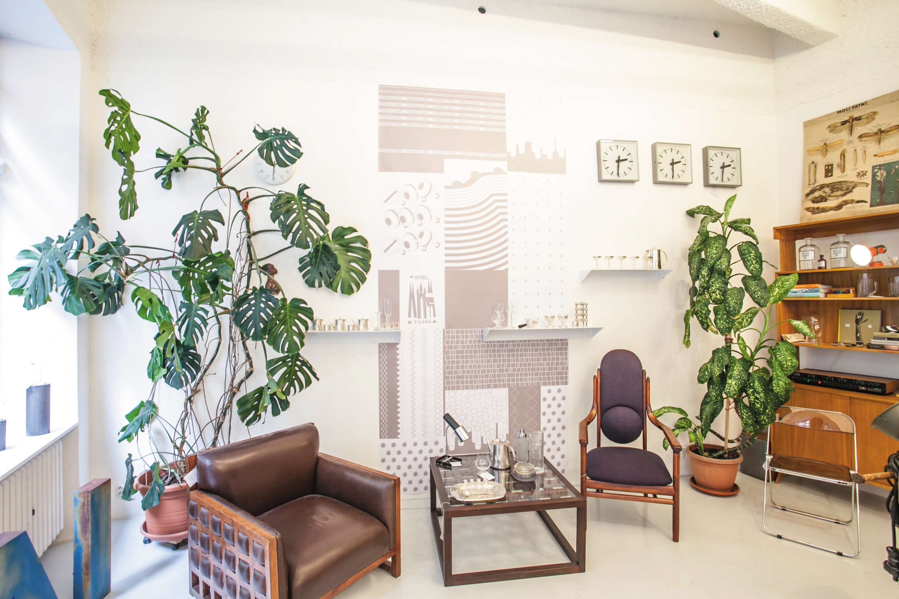 opening of the store and its overall concept