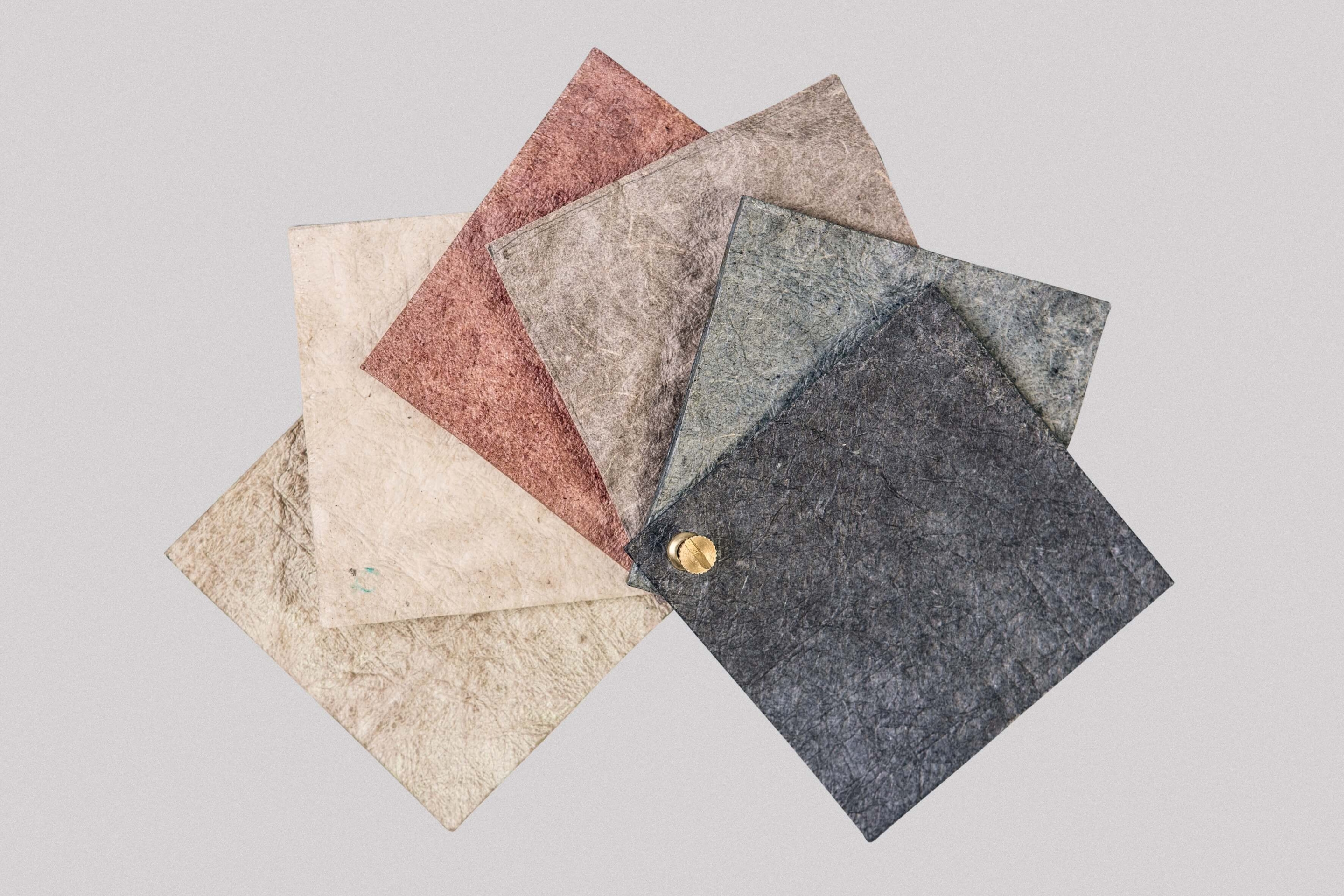 development of the Malai biomaterial