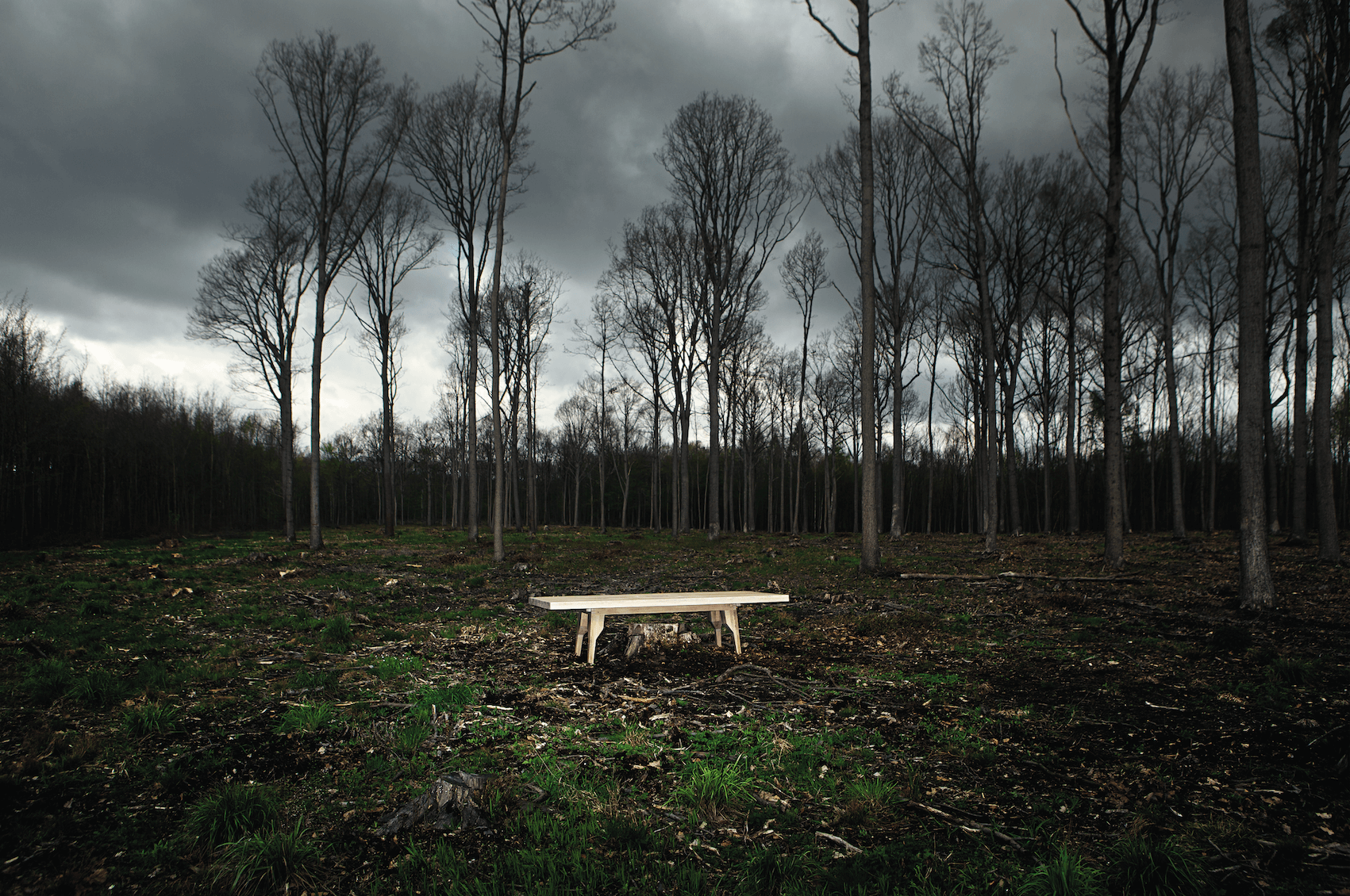 Strom table (Křehký)