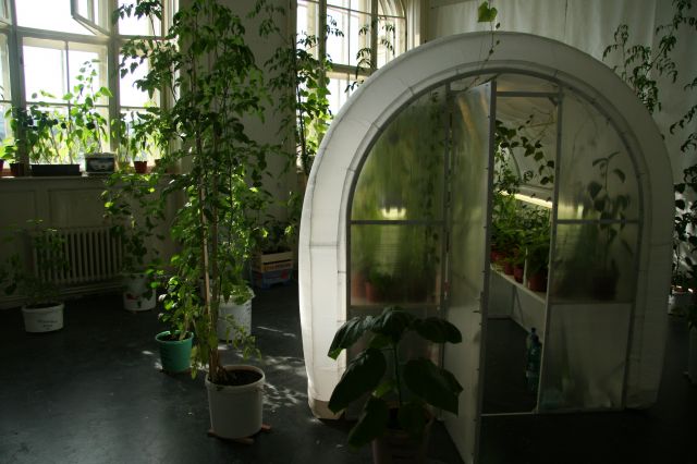 Margareta Estrabanos master