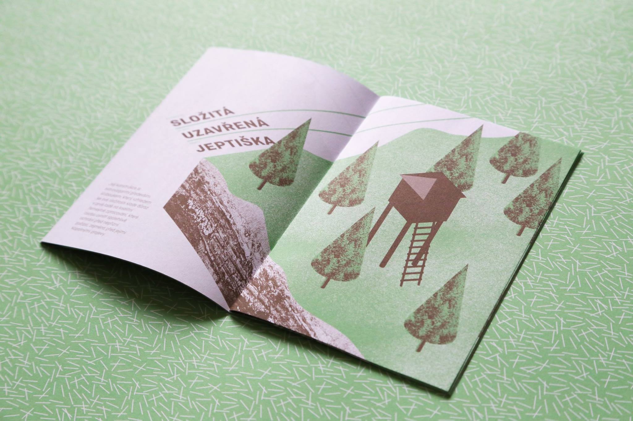 textbook and exercise book and Posedy educational film