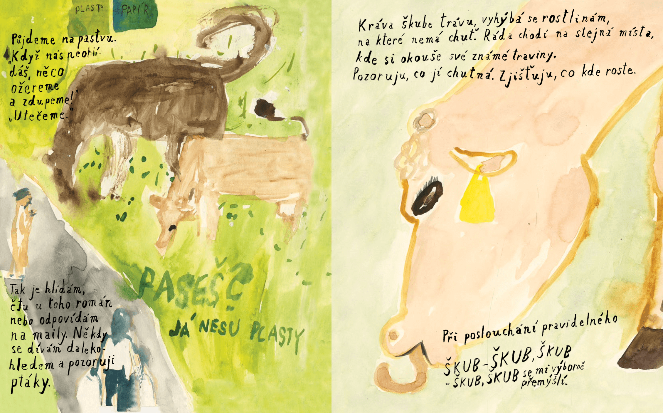 illustrations for her original book Kráva Říčanová (Baobab)