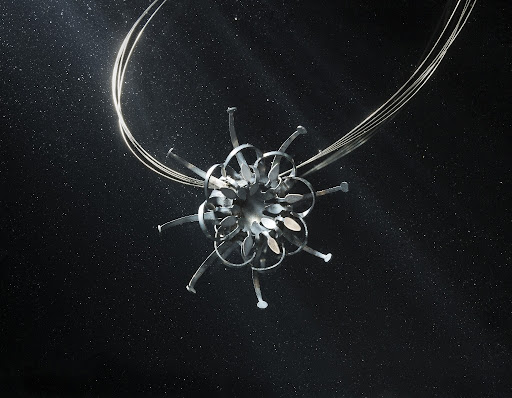 Pasifloras collection