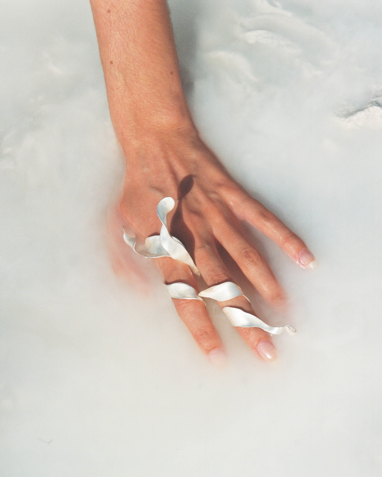 jewellery collection for the diploma thesis sRostliny, jewellery for the SEASON 4 collection for JARDA PRAHA