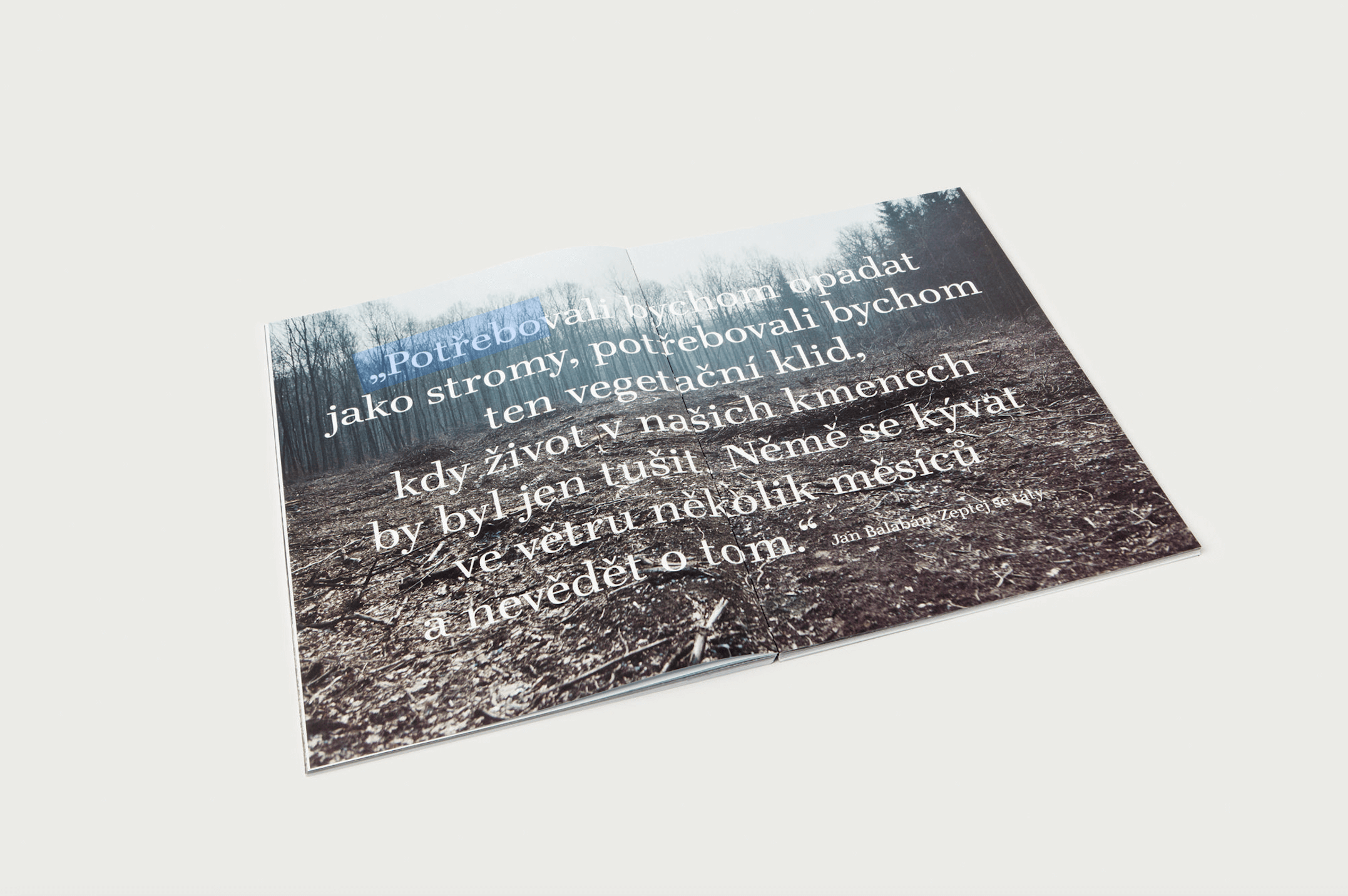 the book Strom (Křehký)