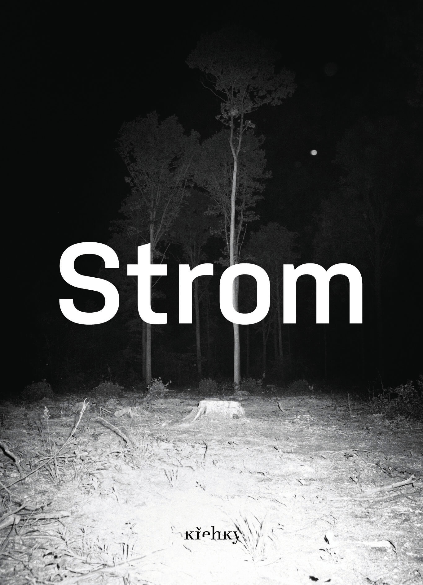 the book Strom (Křehký)