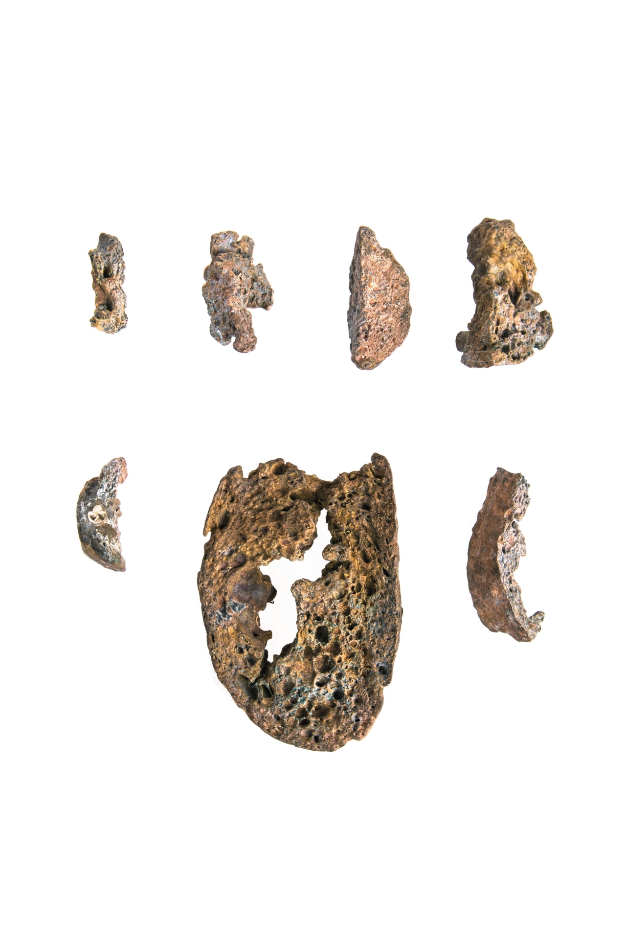 New Archeology collection