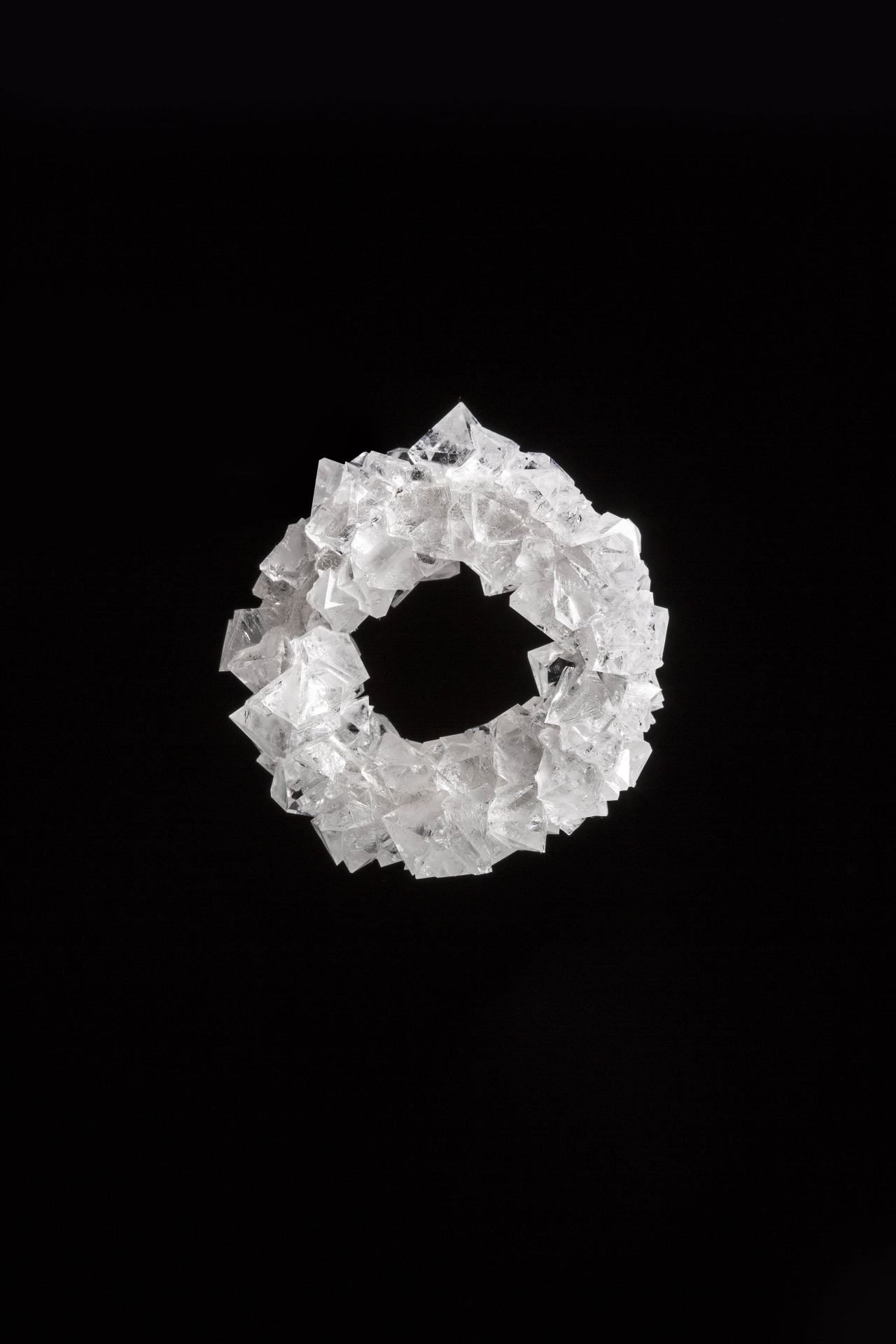 jewellery from the installation Proměna for the Manifest exhibition (Designblok)