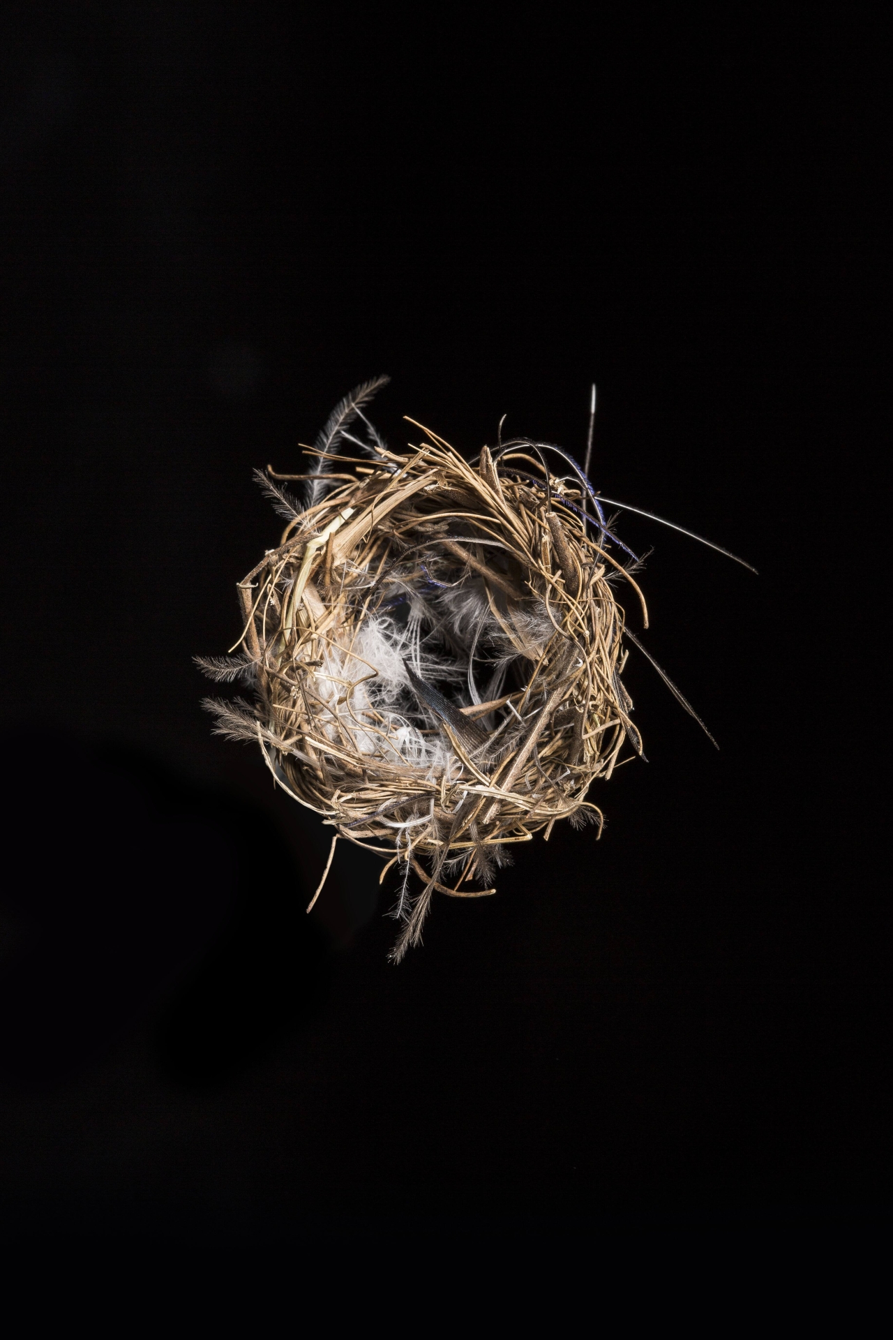 jewellery from the installation Proměna for the Manifest exhibition (Designblok)