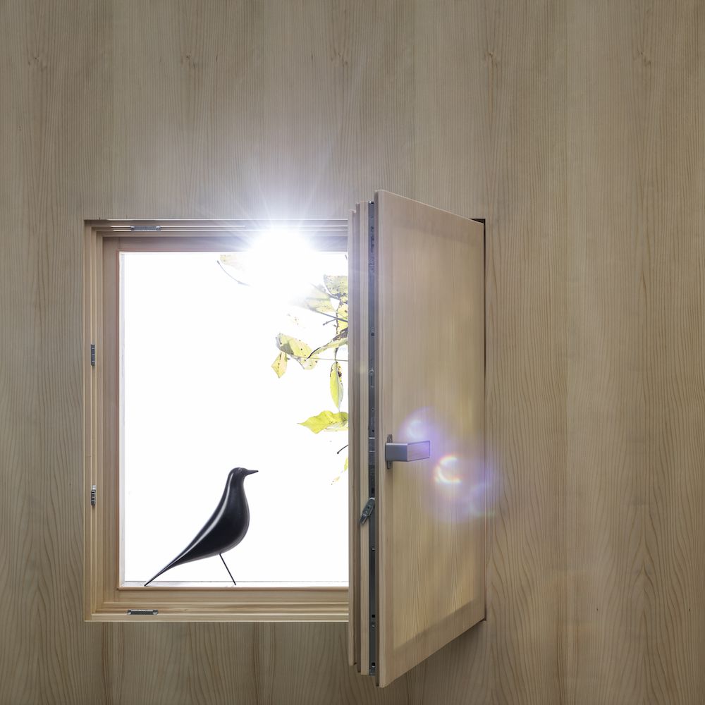 Transparent window (Maxim Velčovský)