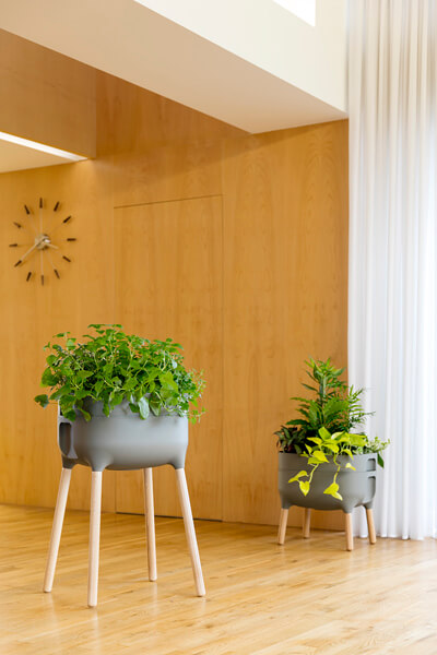 UrbAlive vermicomposter and growing container (Jiří Pelcl)