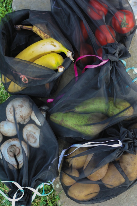 Frusack ecological bags