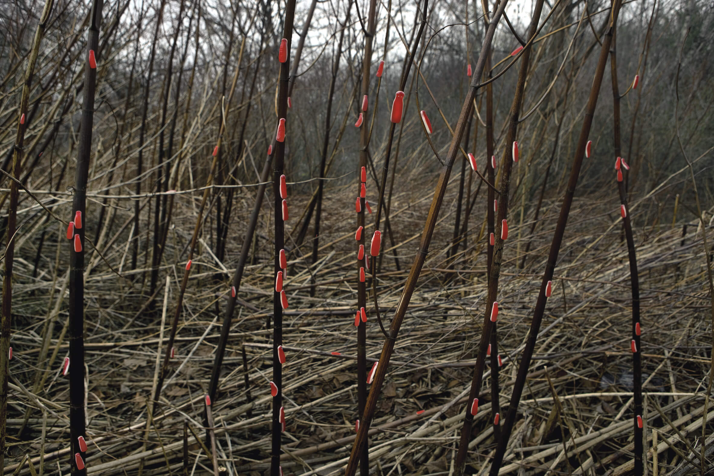 Vetřelci photographic series for Esprit