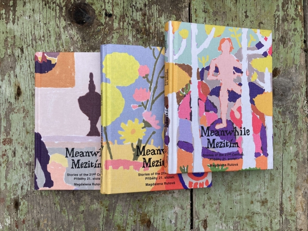 ilustrace autorské knihy Meanwhile – Mezitím (UMPRUM)